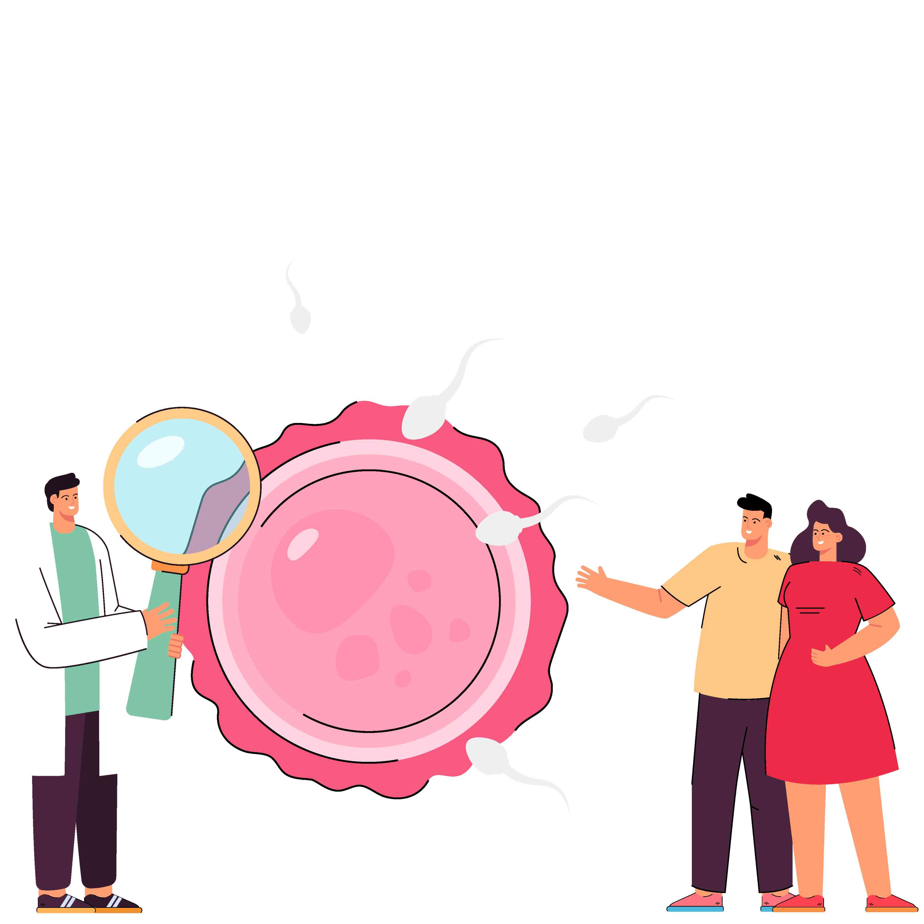 Fertility